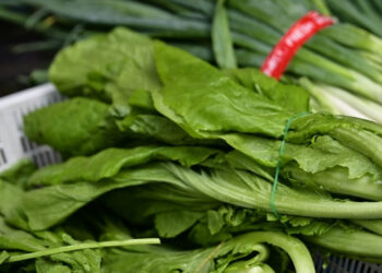 Loại rau được bác sĩ khuyên nên ăn giúp ổn định đường huyết, hỗ trợ giải độc loai rau duoc bac si khuyen nen an giup on dinh duong huyet ho tro giai doc 1075.jpg