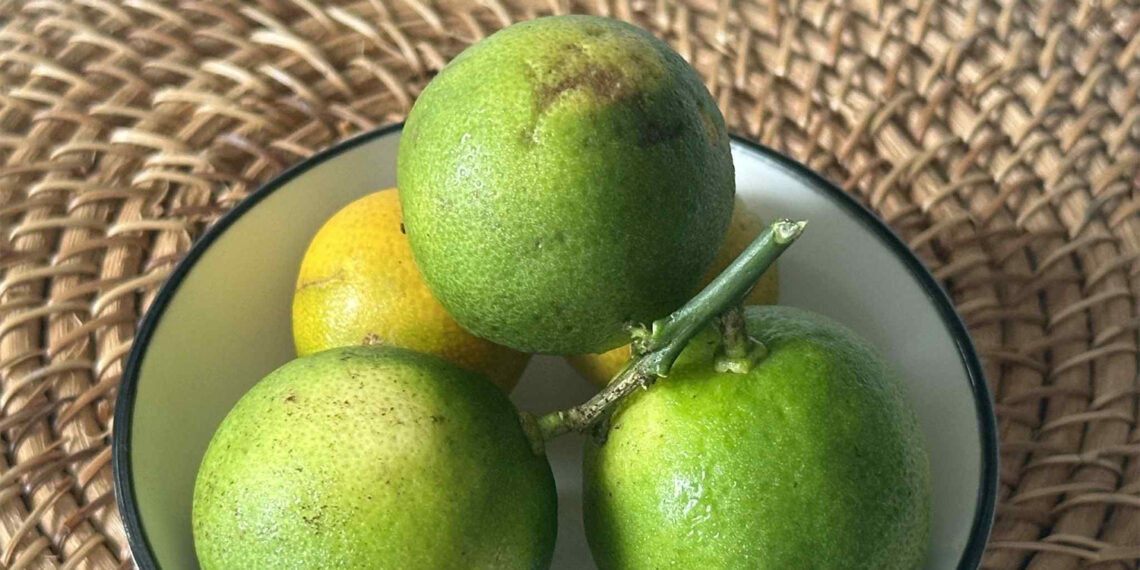 Lý do bạn nên giữ vỏ chanh để ăn thường xuyên ly do ban nen giu vo chanh de an thuong xuyen 2108.jpg