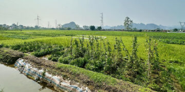 mua dat nong nghiep bang giay viet tay tu 2018 co duoc cap so do 1425.jpg