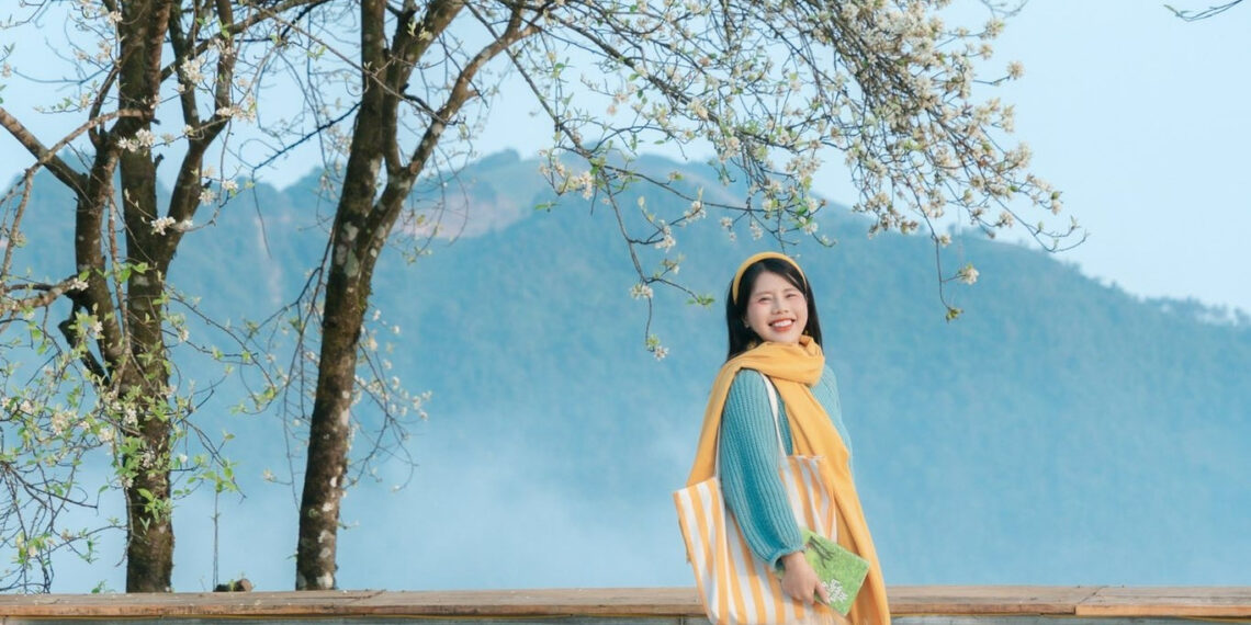 mua hoa son tra o ta xua no ro khach ha noi vuot 240km toi check in 1709.jpg