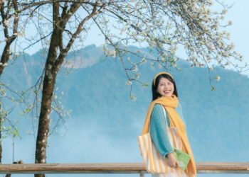 mua hoa son tra o ta xua no ro khach ha noi vuot 240km toi check in 1709.jpg