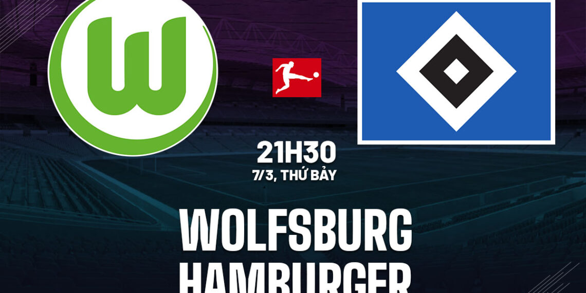 nhan dinh bong da du doan wolfsburg vs hamburger vdqg duc bundesliga hom nay 0403052522.jpg
