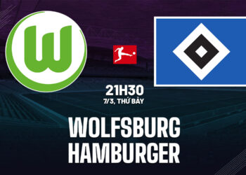 nhan dinh bong da du doan wolfsburg vs hamburger vdqg duc bundesliga hom nay 0403052522.jpg