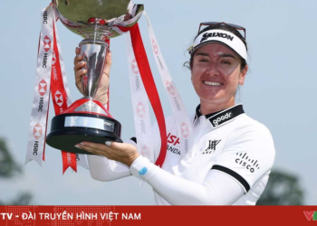 package media 00113274207505731465386 21995354440927435649437.png