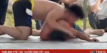 package media 22872478721156465263135.png