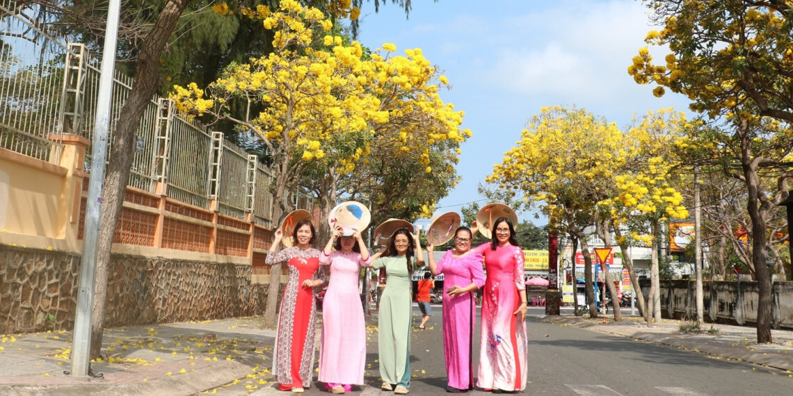 Sắc hoa phong linh 'nhuộm vàng' tuyến phố ở Vũng Tàu, du khách rủ nhau check-in sac hoa phong linh nhuom vang tuyen pho o vung tau du khach ru nhau check in 1381.jpg