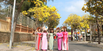 sac hoa phong linh nhuom vang tuyen pho o vung tau du khach ru nhau check in 1381.jpg