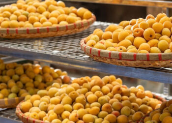 sau cuoc nhau nhieu nguoi uong nuoc mo giam non nao 1391.jpg