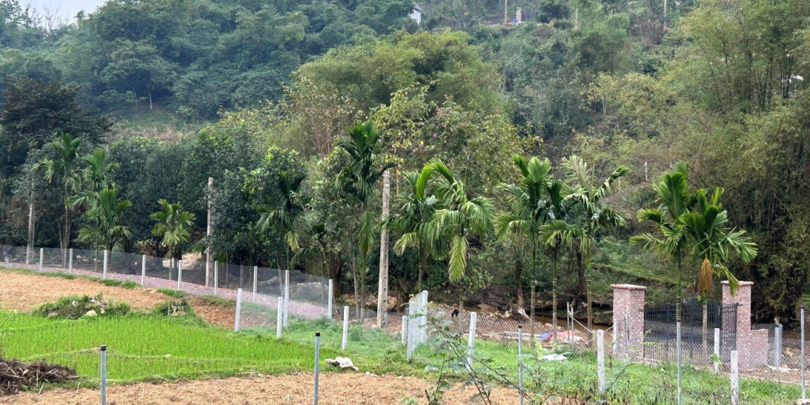 tang cho dat cho con va chau vi sao van phai nop thue thu nhap ca nhan 2307.jpg