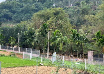 tang cho dat cho con va chau vi sao van phai nop thue thu nhap ca nhan 2307.jpg