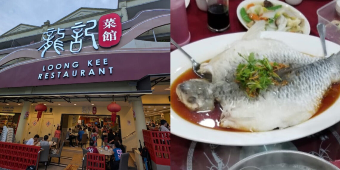 Thực khách sốc vì hóa đơn hơn 6 triệu đồng cho món cá hấp thuc khach soc vi hoa don hon 6 trieu dong cho mon ca hap 203.jpg