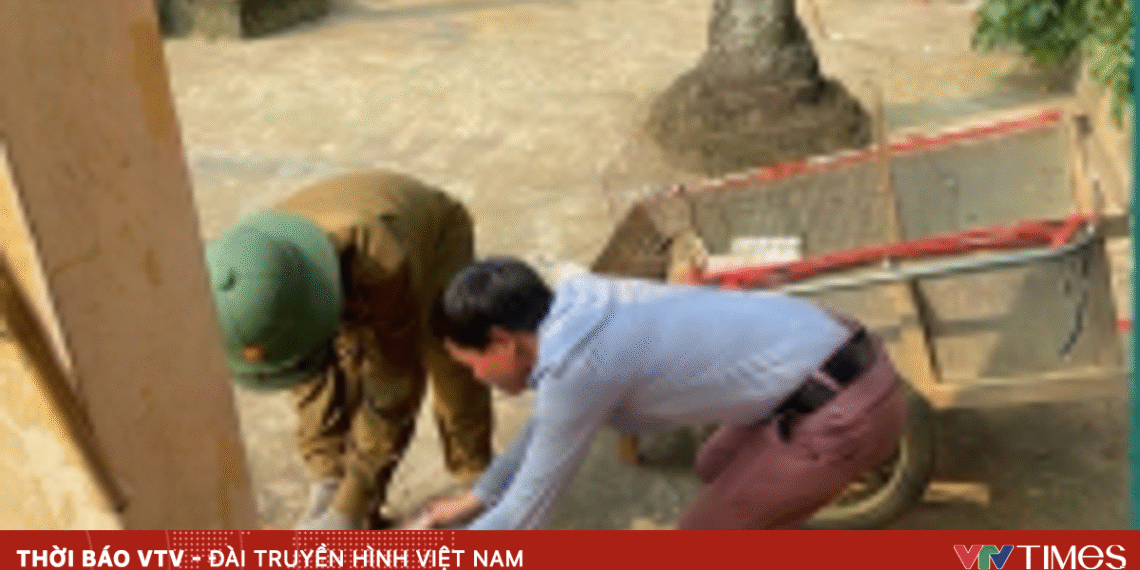 Hà Nội ghi nhận 2 ổ dịch dại trên chó tiem phong dai 97913922215911680558633 90550487705852861848286.png