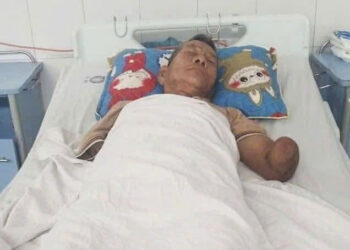 tinh trang suc khoe cu ong sau khi kep con ran ho mang can minh ve nha 1999.jpg