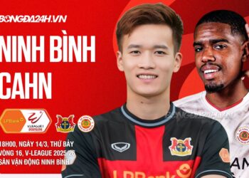 tructiep ninhbinh cahn 1103171552.jpg