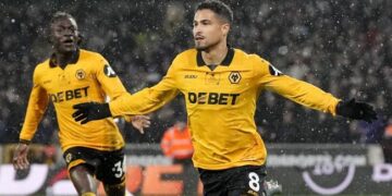 wolves 2802093644.jpg