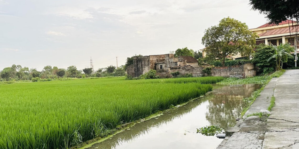 dat nong nghiep nam lot phia trong khong giap duong co duoc chuyen len dat o 69.jpg