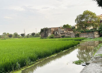 dat nong nghiep nam lot phia trong khong giap duong co duoc chuyen len dat o 69.jpg