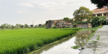 dat nong nghiep nam lot phia trong khong giap duong co duoc chuyen len dat o 69.jpg