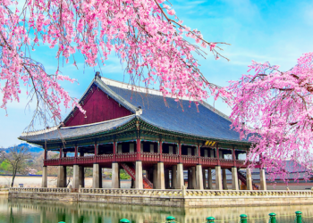 du khach bi cam mang gi khi nhap canh han quoc 1767.png