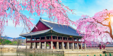 du khach bi cam mang gi khi nhap canh han quoc 1767.png