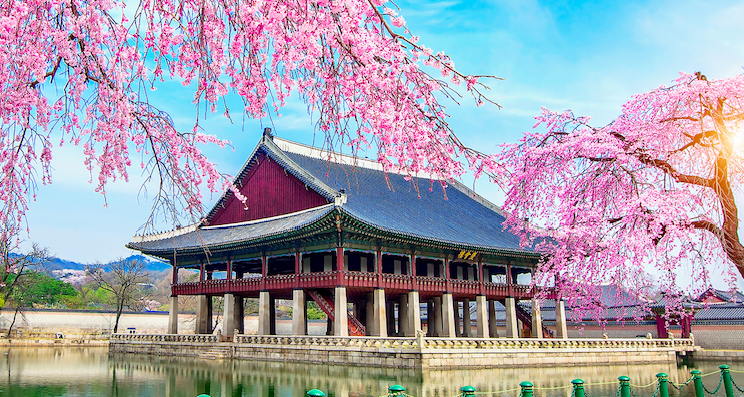 du khach bi cam mang gi khi nhap canh han quoc 1767.png