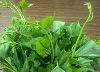 Loại rau người Mỹ ưa chuộng, giá bèo ở chợ Việt nhưng lợi ích không 'rẻ' loai rau nguoi my ua chuong gia beo o cho viet nhung loi ich khong re 3173.png