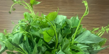 loai rau nguoi my ua chuong gia beo o cho viet nhung loi ich khong re 3173.png