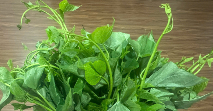 Loại rau người Mỹ ưa chuộng, giá bèo ở chợ Việt nhưng lợi ích không 'rẻ' loai rau nguoi my ua chuong gia beo o cho viet nhung loi ich khong re 3173.png