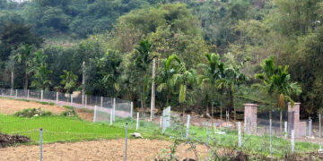 mua dat nam 1998 co phieu thu lam so do co duoc tru tien da nop 2954.jpg