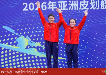 package media 46809945781796175533004 29572516117868433798409.png