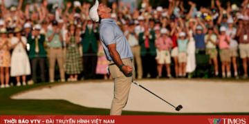 package media 48564727708026171671566 56269139678267296985074.png