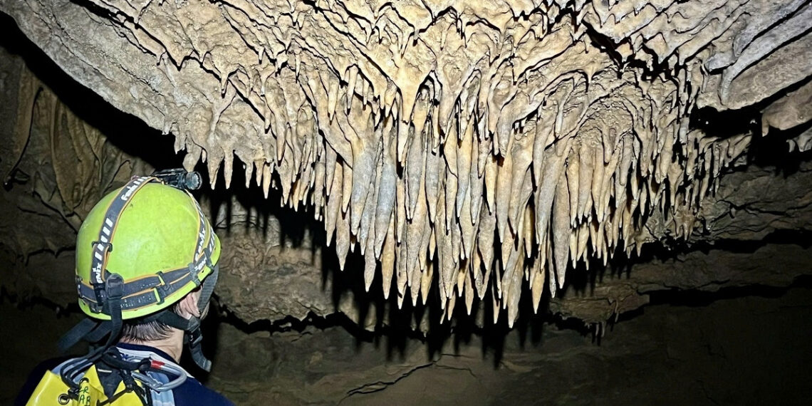 phat hien 26 hang dong moi o phong nha ke bang co hang dai hon 4km 2951.jpg