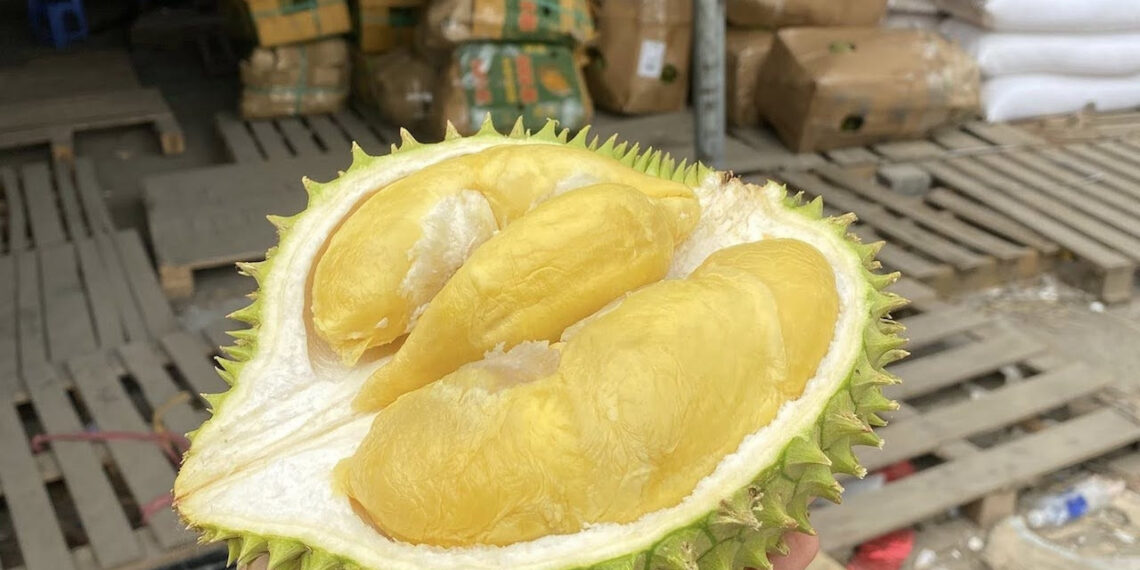 sau rieng giau nang luong nhung 4 nhom nguoi khong nen an 1483.jpg