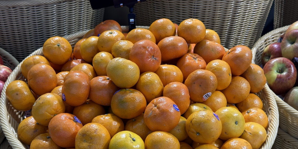 thoi diem an cam quyt tot nhat de tang hap thu va ho tro mien dich 1029.jpg