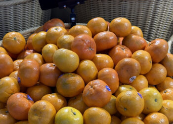 thoi diem an cam quyt tot nhat de tang hap thu va ho tro mien dich 1029.jpg