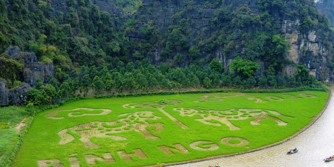 tuan du lich ninh binh co gi hap dan 1093.jpg