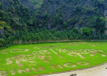 tuan du lich ninh binh co gi hap dan 1093.jpg