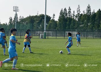 tuyen viet nam tranh ve di world cup voi thai lan.jpg