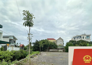 di doi so do bat ngo phat hien 2 1786.jpg