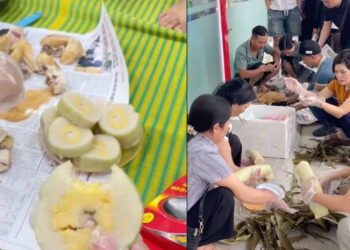 gia dinh 39 nguoi o bac ninh dem banh chung ga luoc 20kg hoa qua di du lich 2554.jpg