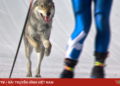 package media 40382731981213369728867 51312476089141941655424.png