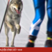 package media 40382731981213369728867 51312476089141941655424.png