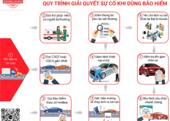 quy trinh xu ly bao hiem than vo 1.png
