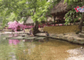 suoi an minh giua nui rung thanh hoa nuoc trong thay day hut khach check in 1952.gif