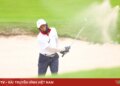 4b8a6791 66028586298367060482976 15270469167418956628059.jpg