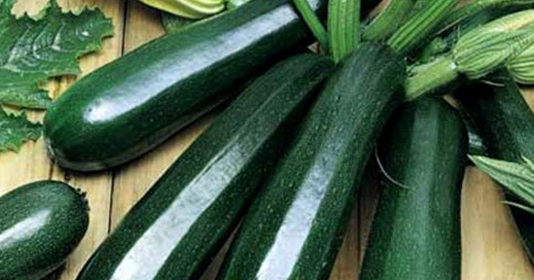 Bộ phận thường bị bỏ đi của quả bí ngòi lại chứa nhiều chất quý bo phan thuong bi bo di cua qua bi ngoi lai chua nhieu chat quy 1468.png