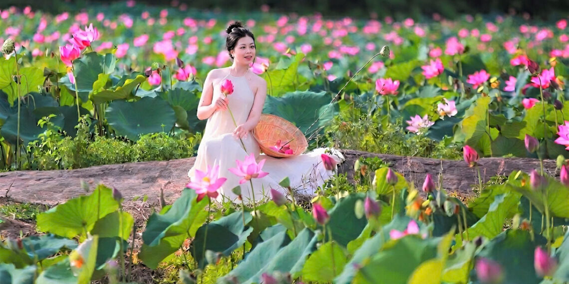 Đẹp ngỡ ngàng đồng hoa sen lớn nhất Đà Nẵng, du khách thích thú đến check-in dep ngo ngang dong hoa sen lon nhat da nang du khach thich thu den check in 1631.jpg