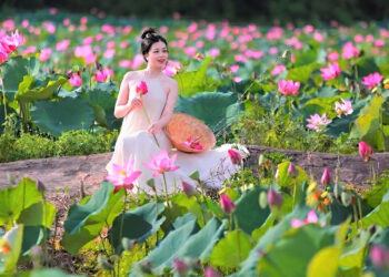 Đẹp ngỡ ngàng đồng hoa sen lớn nhất Đà Nẵng, du khách thích thú đến check-in dep ngo ngang dong hoa sen lon nhat da nang du khach thich thu den check in 1631.jpg