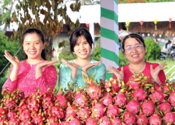 hang nghin nguoi do ve tham quan le hoi trai cay o mien tay 548.jpg