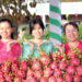 hang nghin nguoi do ve tham quan le hoi trai cay o mien tay 548.jpg